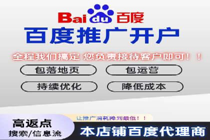 SEM代运营机构案例分析：优化策略详解